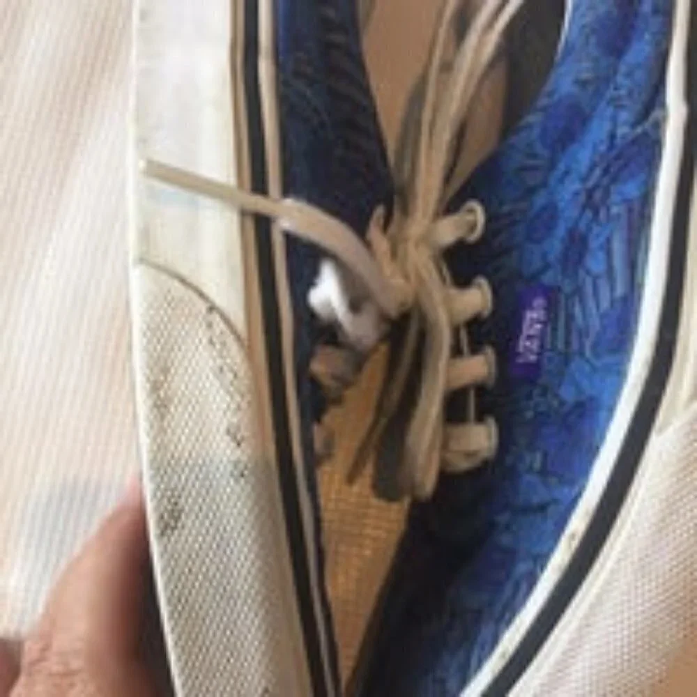 Floral Vans